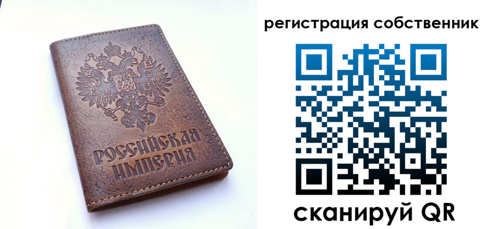 прописка поиск в Владимирской области